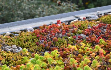 the cost of High Lane green roof installation